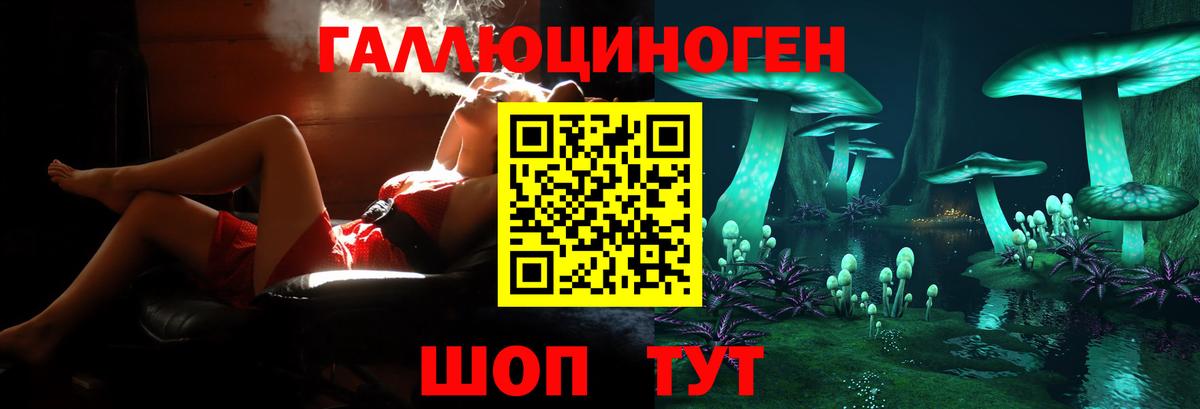 Псилоцибиновые грибы Psilocybine cubensis  Вход с VPN  Геленджик 